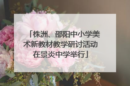 株洲、邵阳中小学美术新教材教学研讨活动在景炎中学举行