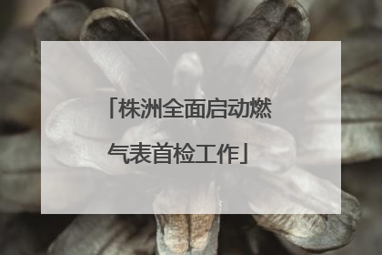 株洲全面启动燃气表首检工作