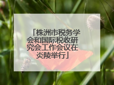 株洲市税务学会和国际税收研究会工作会议在炎陵举行
