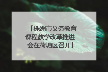 株洲市义务教育课程教学改革推进会在荷塘区召开