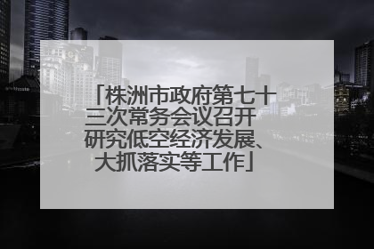 株洲市政府第七十三次常务会议召开 研究低空经济发展、大抓落实等工作