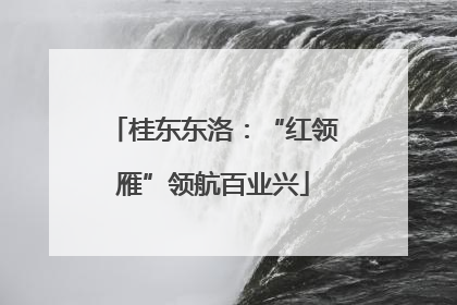 桂东东洛：“红领雁”领航百业兴