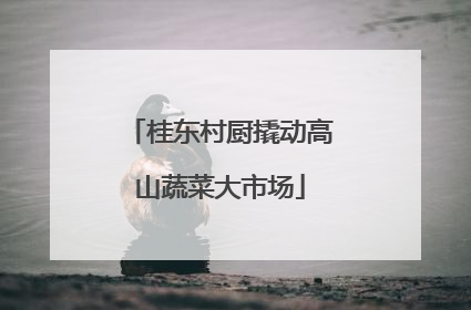 桂东村厨撬动高山蔬菜大市场