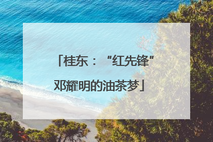 桂东：“红先锋”邓耀明的油茶梦