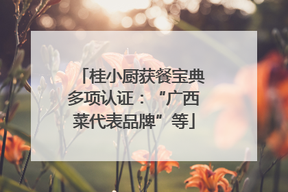 桂小厨获餐宝典多项认证：“广西菜代表品牌”等
