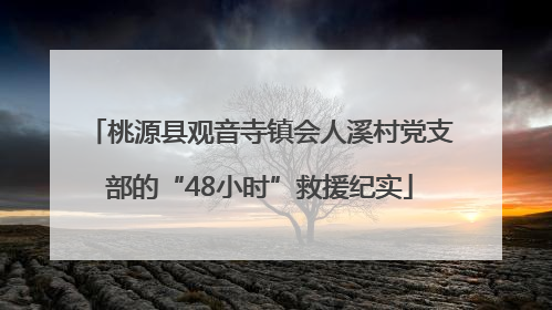 桃源县观音寺镇会人溪村党支部的“48小时”救援纪实