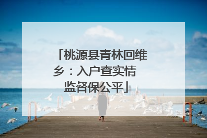 桃源县青林回维乡：入户查实情 监督保公平