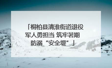 桐柏县清淮街道退役军人勇担当 筑牢暑期防溺“安全堤”