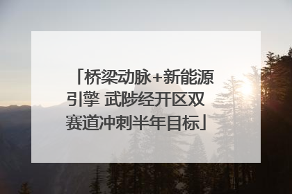 桥梁动脉+新能源引擎 武陟经开区双赛道冲刺半年目标