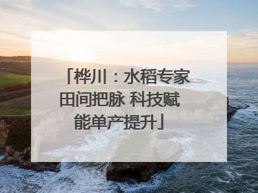 桦川：水稻专家田间把脉 科技赋能单产提升