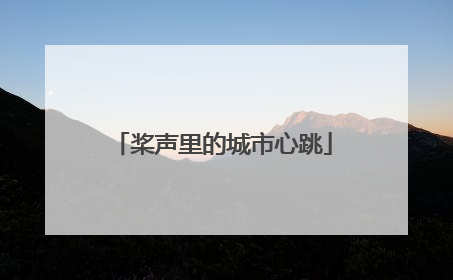 桨声里的城市心跳