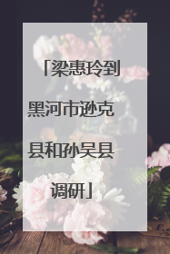梁惠玲到黑河市逊克县和孙吴县调研