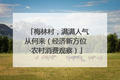 梅林村，满满人气从何来（经济新方位·农村消费观察）
