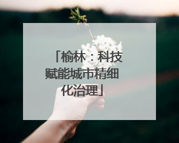 榆林：科技赋能城市精细化治理