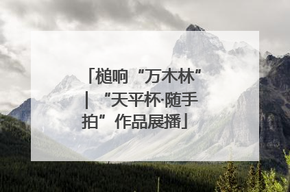 槌响“万木林”｜“天平杯·随手拍”作品展播