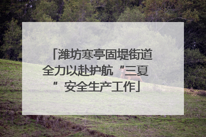 潍坊寒亭固堤街道全力以赴护航“三夏”安全生产工作