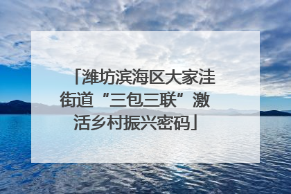 潍坊滨海区大家洼街道“三包三联”激活乡村振兴密码