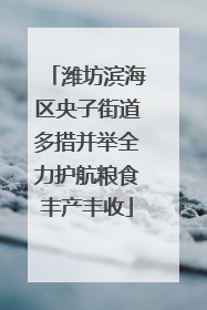 潍坊滨海区央子街道多措并举全力护航粮食丰产丰收