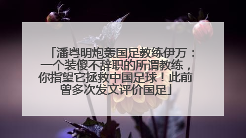 潘粤明炮轰国足教练伊万：一个装傻不辞职的所谓教练，你指望它拯救中国足球！此前曾多次发文评价国足