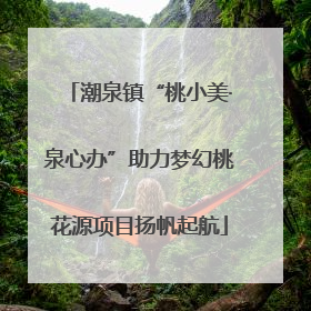 潮泉镇“桃小美·泉心办”助力梦幻桃花源项目扬帆起航