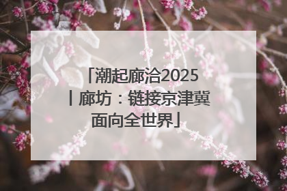 潮起廊洽2025丨廊坊：链接京津冀 面向全世界