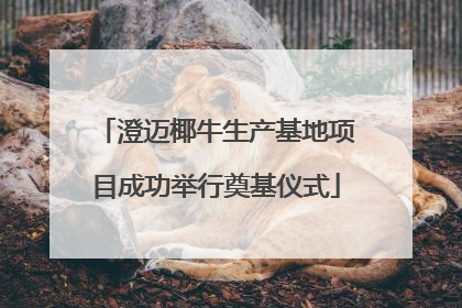 澄迈椰牛生产基地项目成功举行奠基仪式