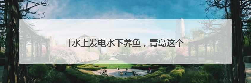 水上发电水下养鱼，青岛这个村百亩竹节虾抢“鲜”上市