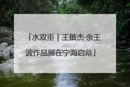 水双重｜王敏杰·余王波作品展在宁海启幕