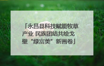 永昌县科技赋能牧草产业 民族团结共绘戈壁“绿富美”新画卷