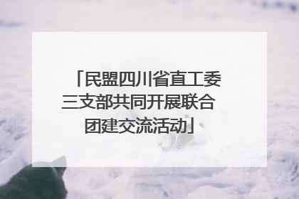 民盟四川省直工委三支部共同开展联合团建交流活动