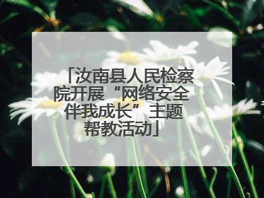 汝南县人民检察院开展“网络安全 伴我成长”主题帮教活动