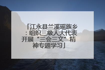 江永县兰溪瑶族乡：组织三级人大代表开展“三会三文”精神专题学习