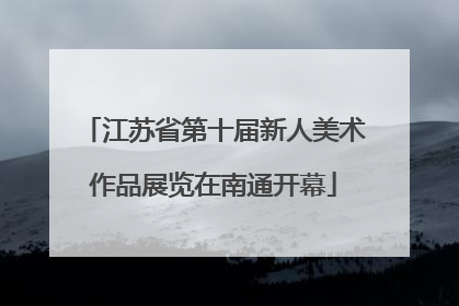 江苏省第十届新人美术作品展览在南通开幕