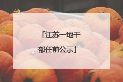 江苏一地干部任前公示