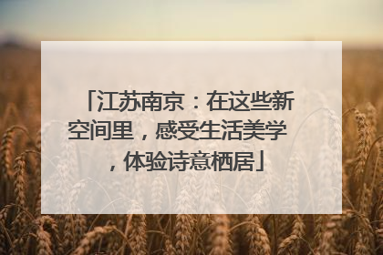 江苏南京：在这些新空间里，感受生活美学，体验诗意栖居