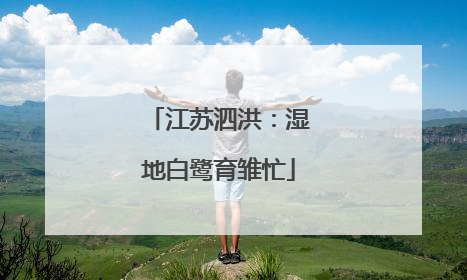 江苏泗洪：湿地白鹭育雏忙