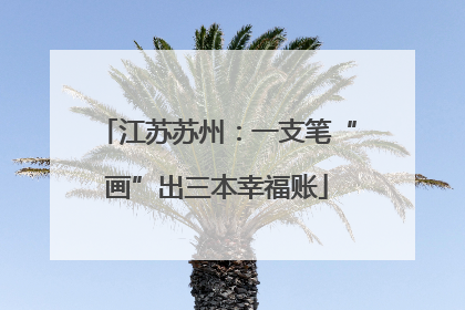 江苏苏州：一支笔“画”出三本幸福账