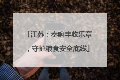 江苏：奏响丰收乐章，守护粮食安全底线