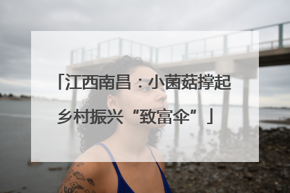 江西南昌：小菌菇撑起乡村振兴“致富伞”