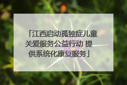江西启动孤独症儿童关爱服务公益行动 提供系统化康复服务