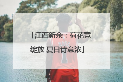 江西新余：荷花竞绽放 夏日诗意浓