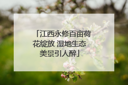江西永修百亩荷花绽放 湿地生态美景引人醉