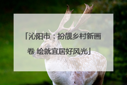 沁阳市：扮靓乡村新画卷 绘就宜居好风光