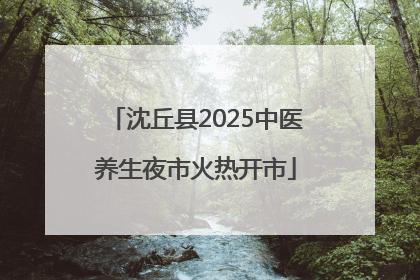 沈丘县2025中医养生夜市火热开市