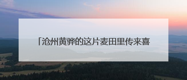 沧州黄骅的这片麦田里传来喜讯：一水未浇的旱碱麦丰收了