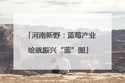 河南新野：蓝莓产业绘就振兴“蓝”图