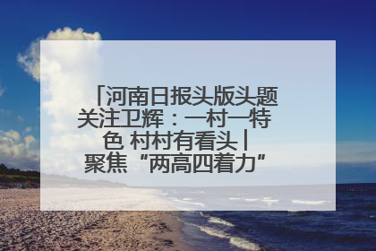 河南日报头版头题关注卫辉：一村一特色 村村有看头 ︳聚焦“两高四着力”·一“县”观察