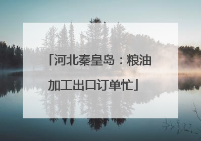 河北秦皇岛：粮油加工出口订单忙
