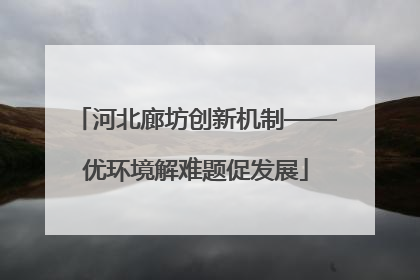 河北廊坊创新机制——优环境解难题促发展