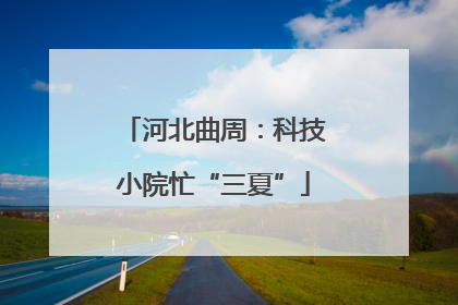 河北曲周：科技小院忙“三夏”